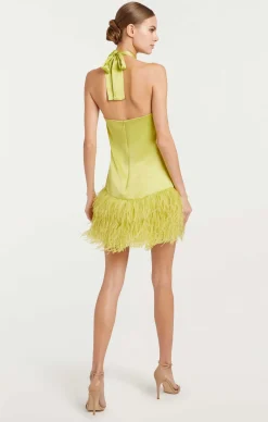 Barb Dress